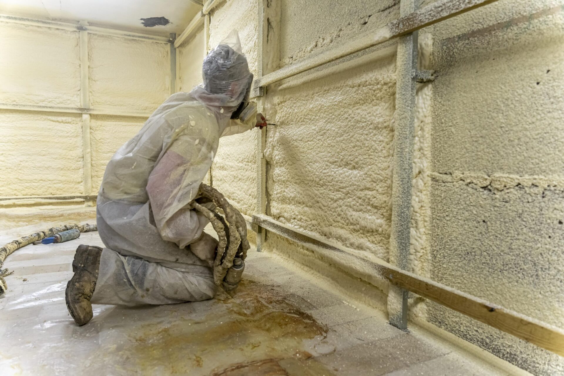 central coast mould removal 